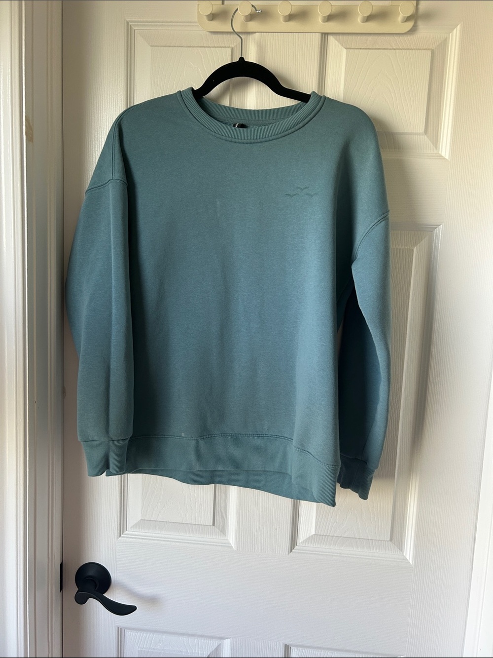 Everyday Crewneck Sweatshirt in Light Teal